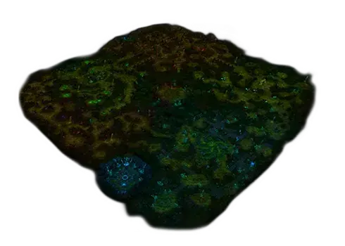 SwampOfDarkness map - Mu Online Season 21